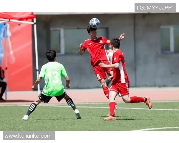 成都足球队的蜕变之旅：从地方球队到职业联赛的奋斗与荣耀